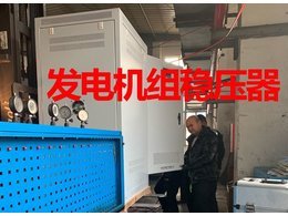 發(fā)電機組穩(wěn)壓器案例